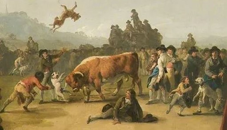 Beer, bets and bull baiting by Mary Bodfish